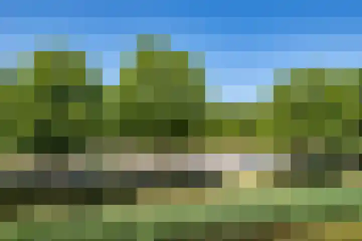 De Veste 12 12 78 Lelystad thumbnail 33