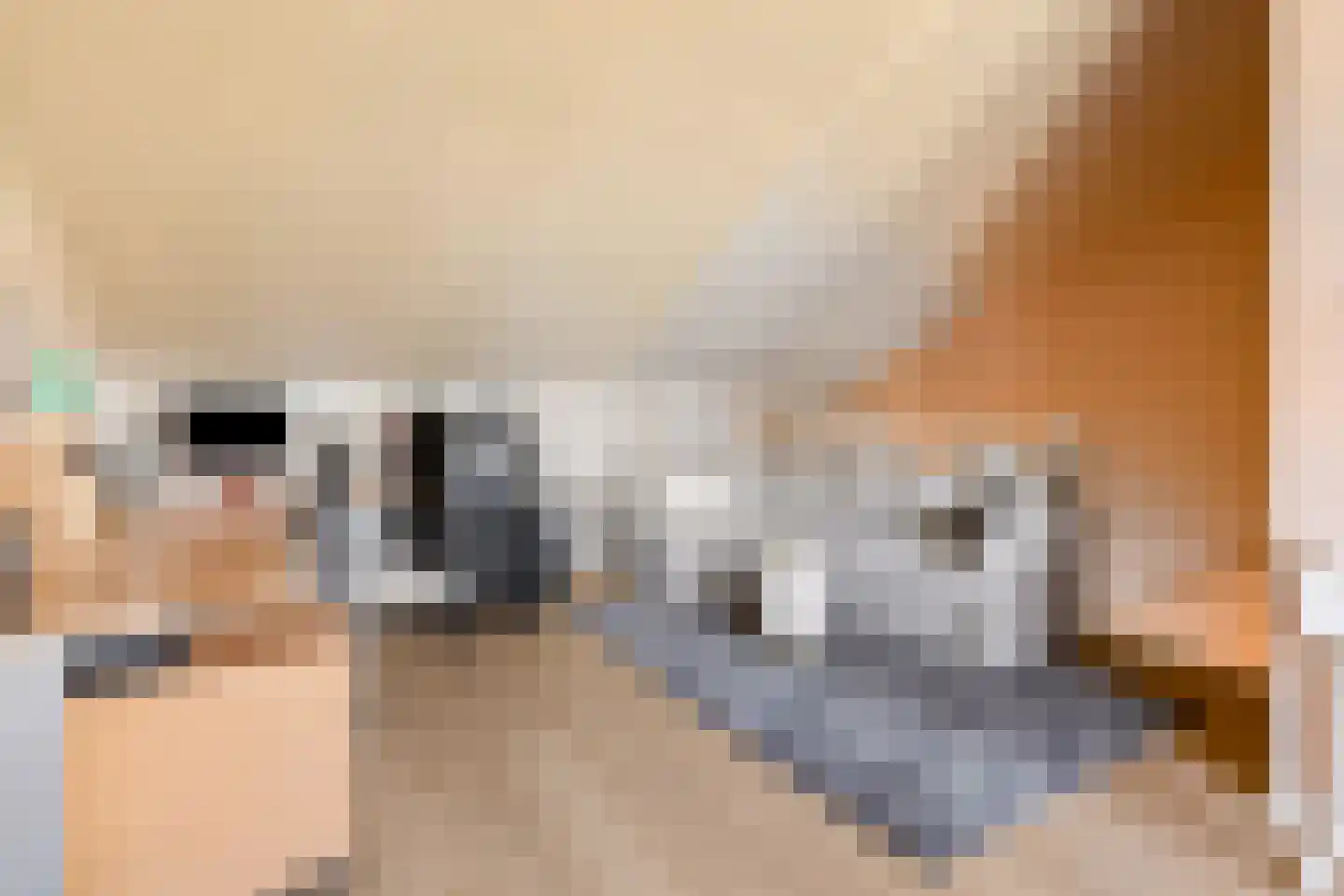 De Veste 12 72 Lelystad thumbnail 33