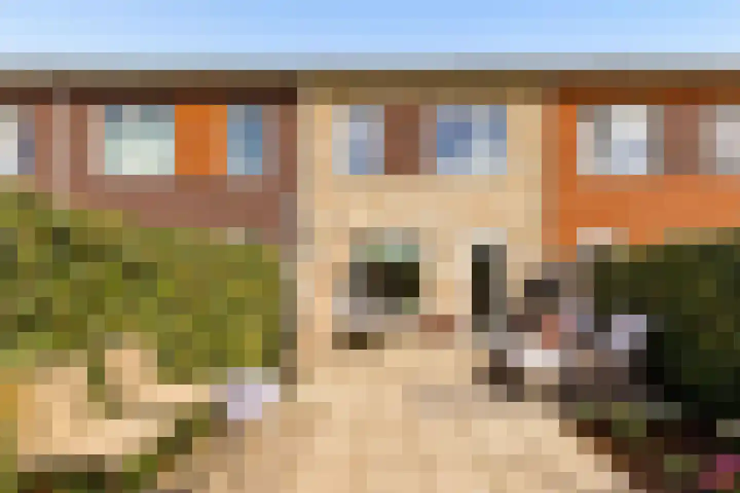 De Veste 12 72 Lelystad thumbnail 40