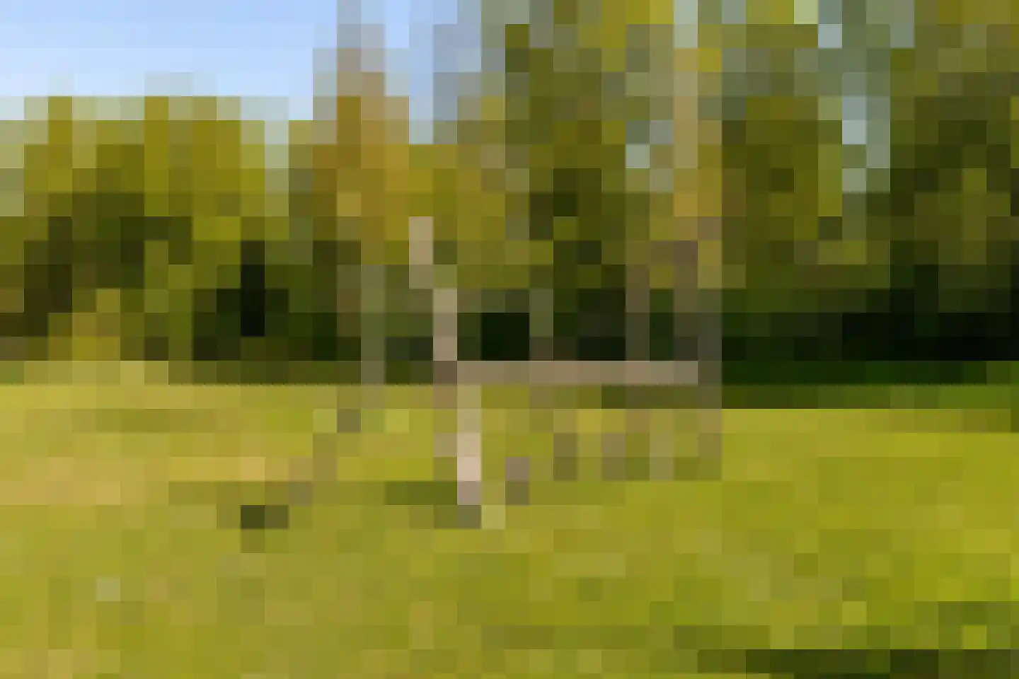 De Veste 12 72 Lelystad thumbnail 46