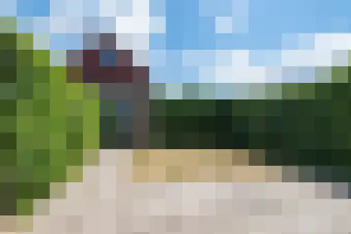 De Veste 12 78 Lelystad thumbnail 23