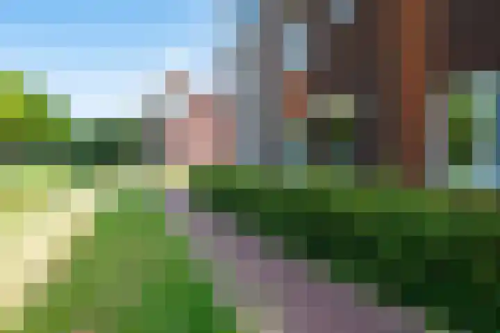 De Veste 12 78 Lelystad thumbnail 30