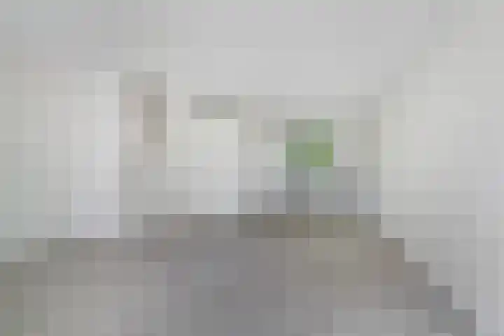 De Veste 12 78 Lelystad thumbnail 5