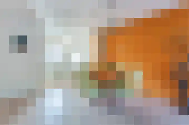 De Veste 13 14 Lelystad thumbnail 11