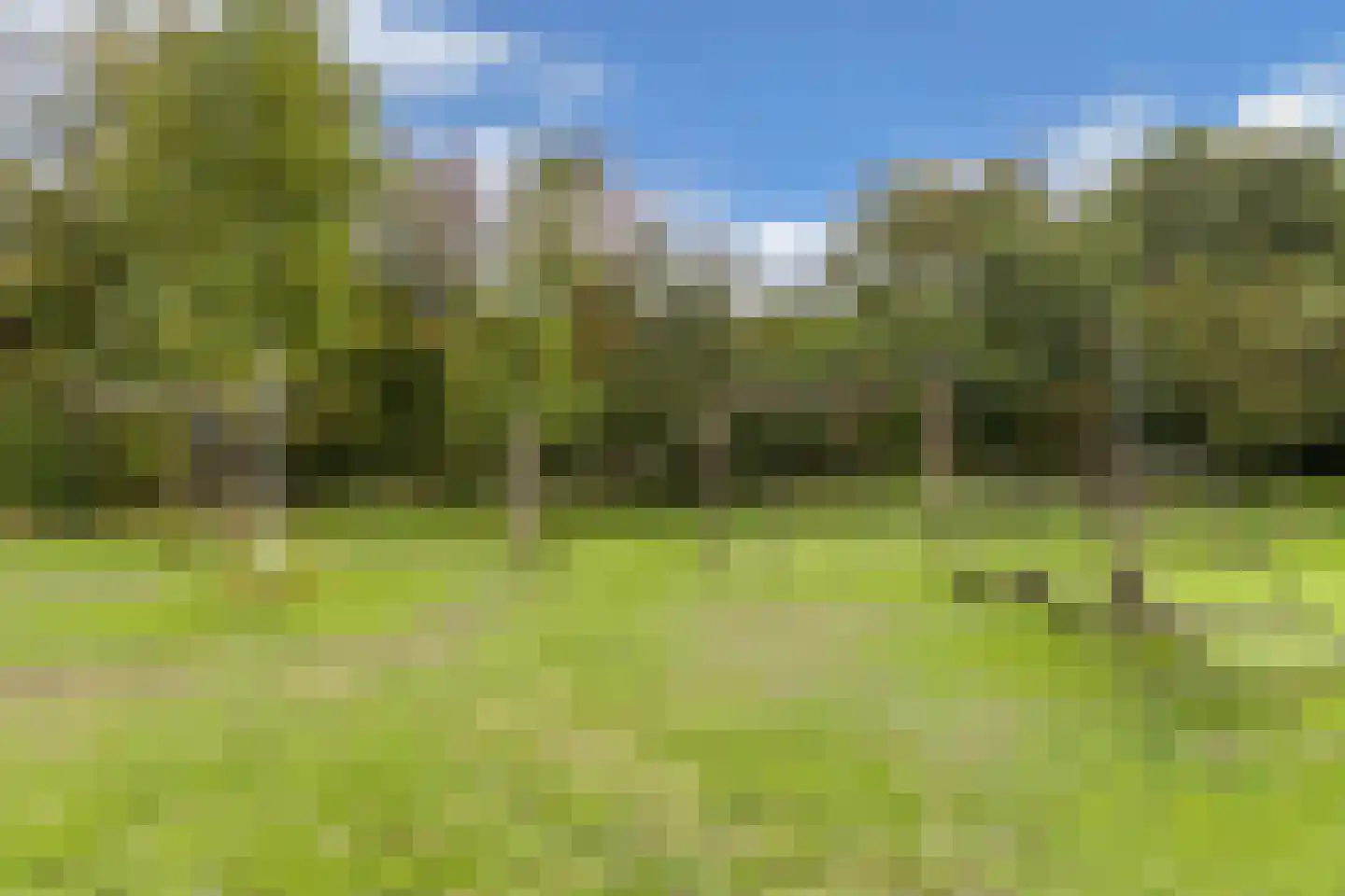 De Veste 15 4 Lelystad thumbnail 44