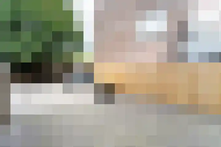 De Veste 16 16 45 Lelystad thumbnail 23