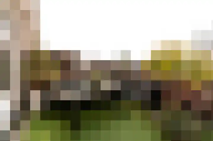 De Veste 16 55 Lelystad thumbnail 17