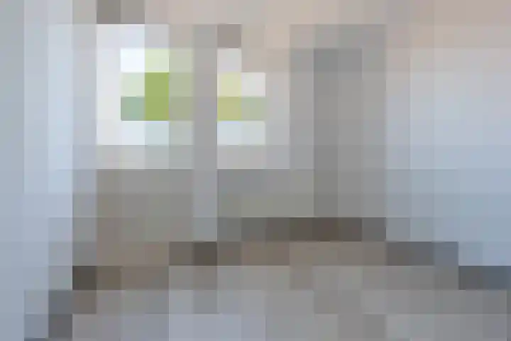 De Veste 16 61 Lelystad thumbnail 21