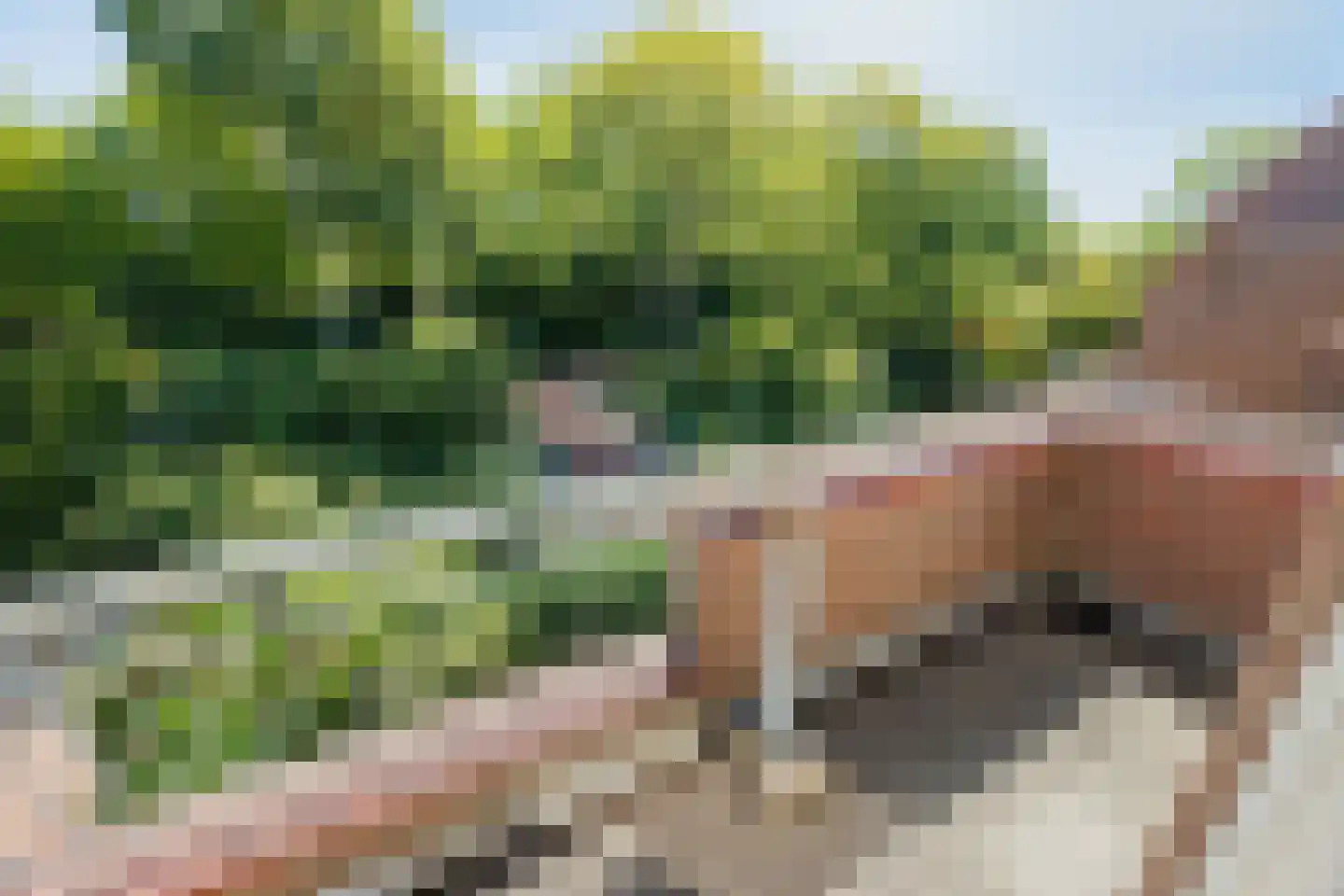 De Veste 17 15 Lelystad thumbnail 19