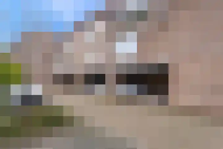 De Veste 17 17 13 Lelystad thumbnail 20