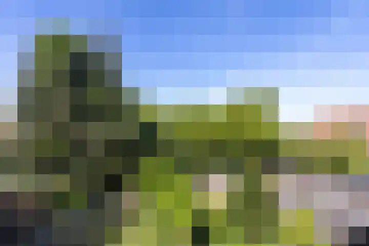 De Veste 17 17 44 Lelystad thumbnail 16