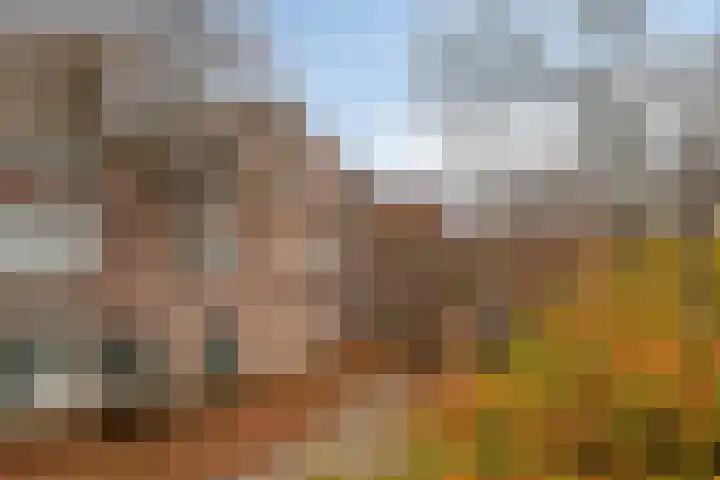 De Veste 17 17 48 Lelystad thumbnail 6