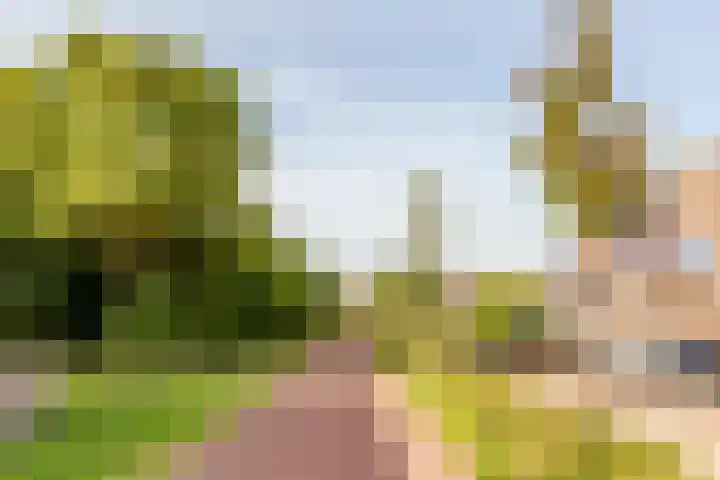 De Veste 17 17 74 Lelystad thumbnail 26