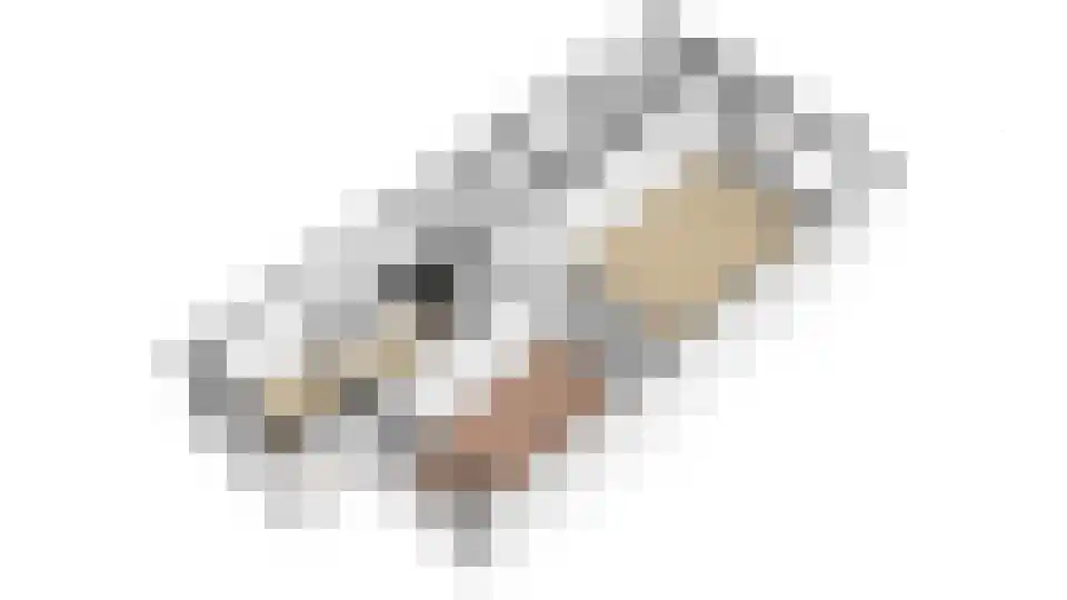 De Veste 17 37 Lelystad thumbnail 35