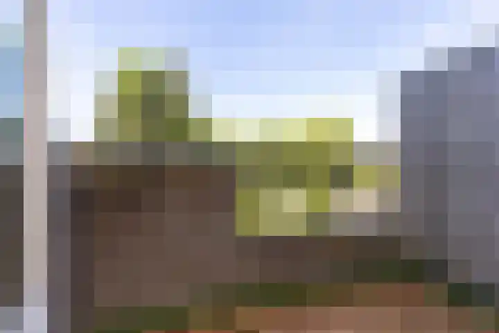 De Veste 17 44 Lelystad thumbnail 15