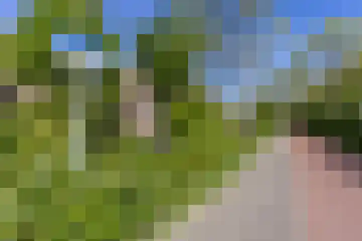 De Veste 17 44 Lelystad thumbnail 5