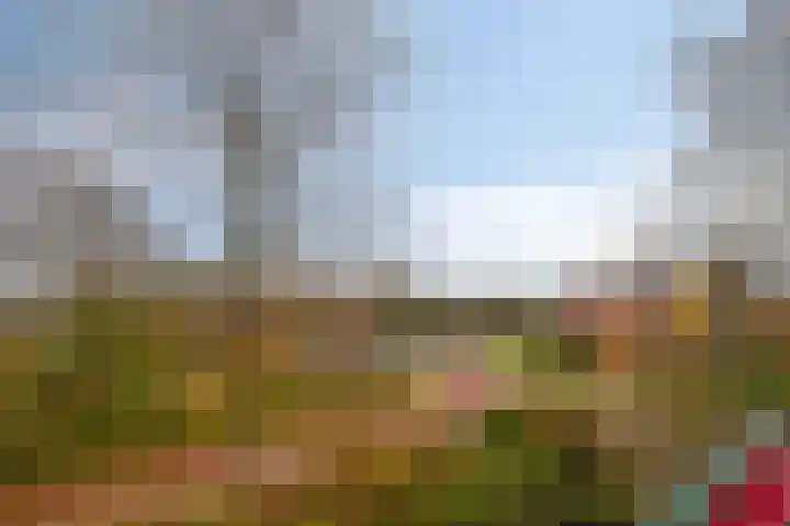 De Veste 17 48 Lelystad thumbnail 33
