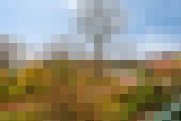 De Veste 17 48 Lelystad thumbnail 34