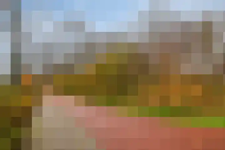 De Veste 17 48 Lelystad thumbnail 36