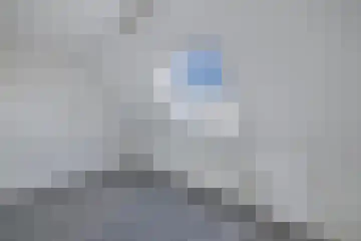 De Veste 17 69 Lelystad thumbnail 27
