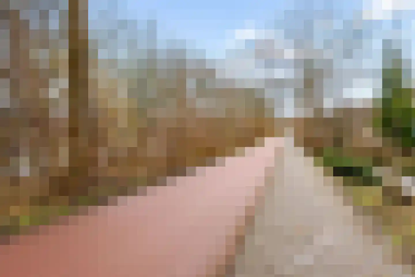 De Veste 17 71 Lelystad thumbnail 33