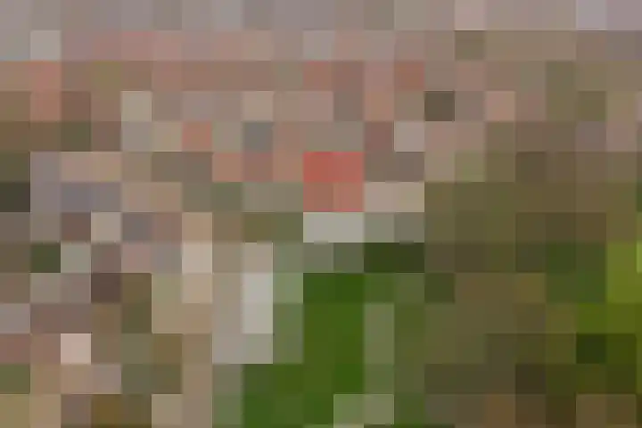 De Veste 18 18 20 Lelystad thumbnail 5