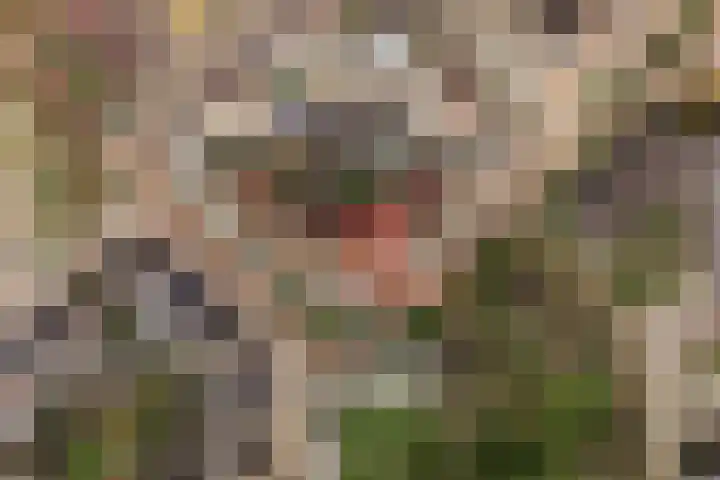 De Veste 18 18 20 Lelystad thumbnail 7