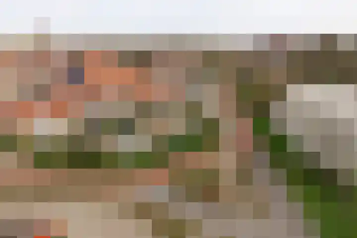 De Veste 18 20 Lelystad thumbnail 6