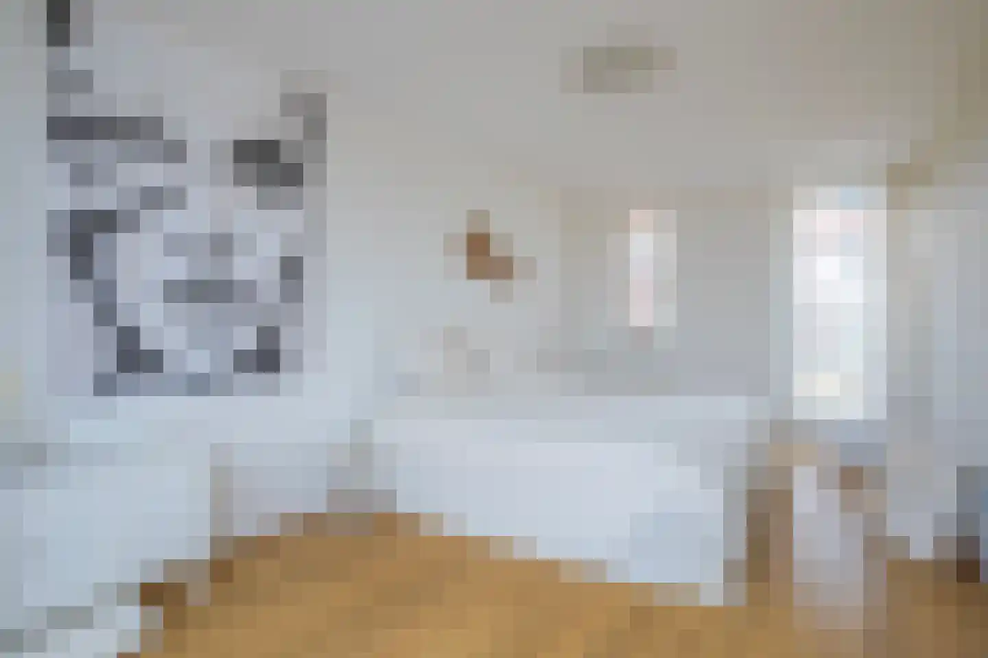 De Veste 19 Arnhem thumbnail 24