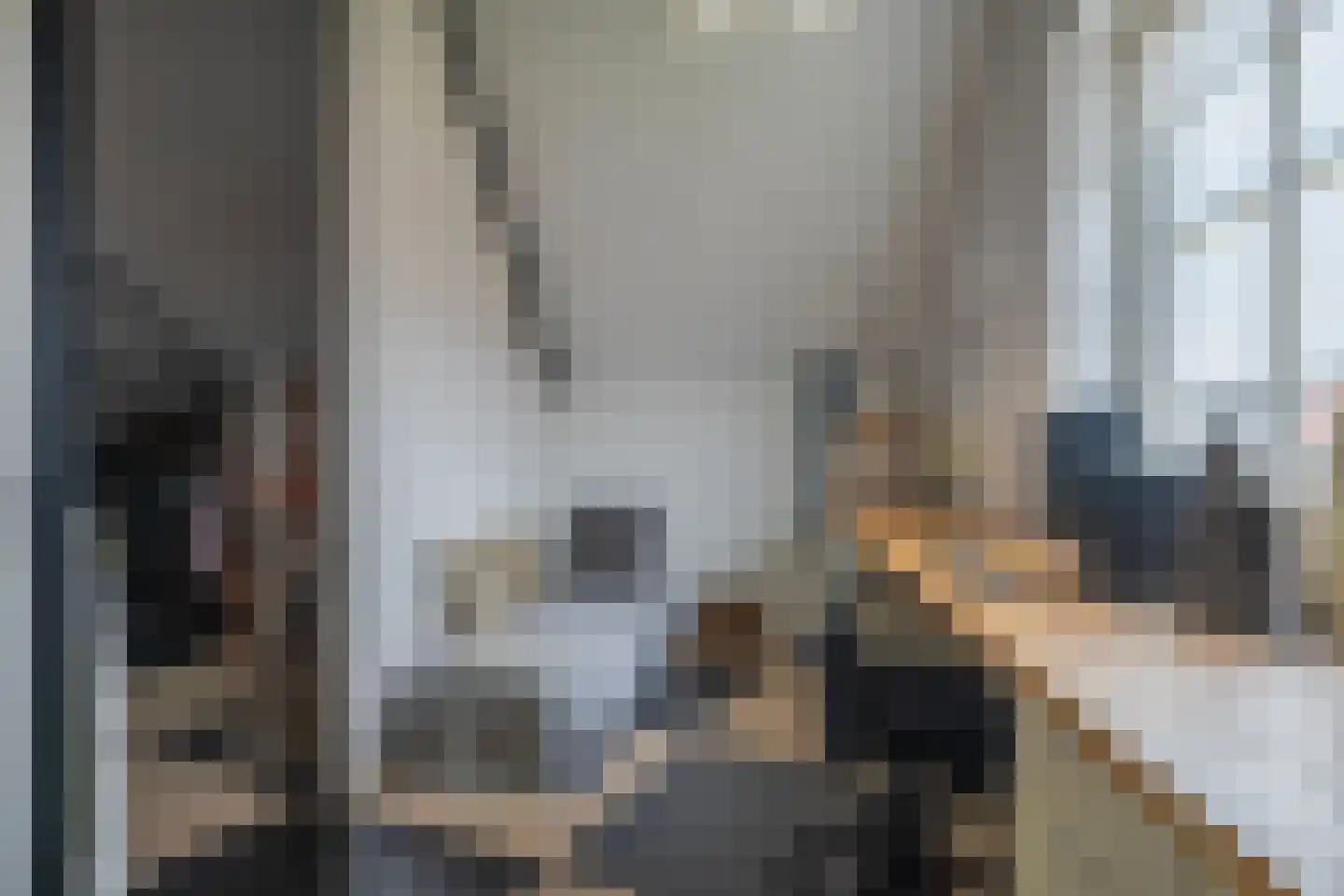 De Veste 19 Arnhem thumbnail 33