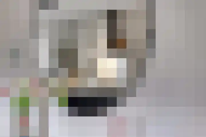 De Veste 22 Apeldoorn thumbnail 10
