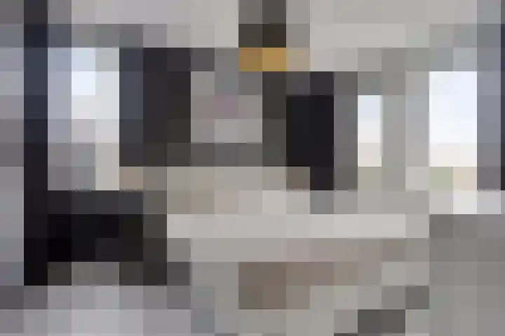 De Veste 22 Apeldoorn thumbnail 16