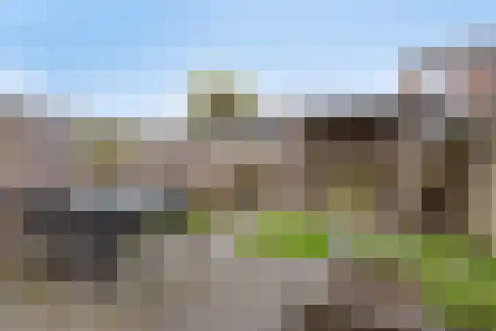 De Veste 22 Apeldoorn thumbnail 24