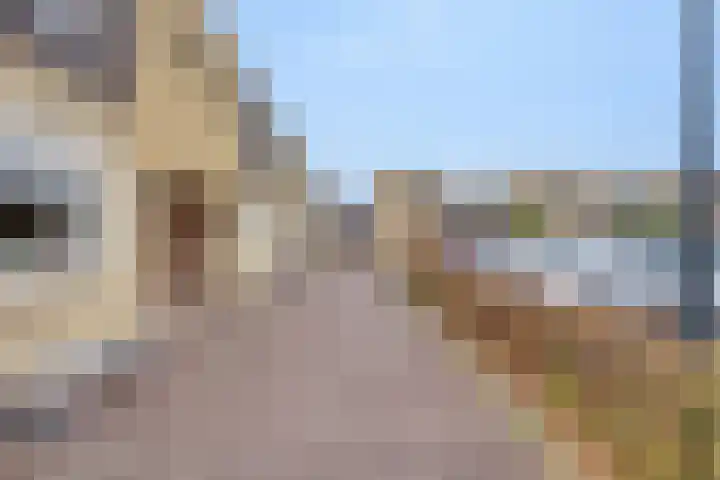 De Veste 22 Apeldoorn thumbnail 36