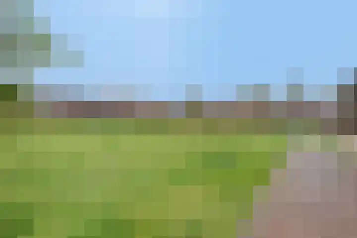 De Veste 22 Apeldoorn thumbnail 39
