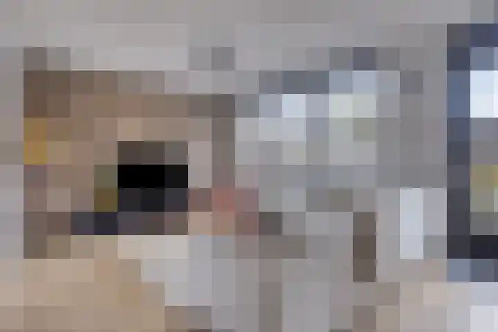 De Veste 22 Apeldoorn thumbnail 4