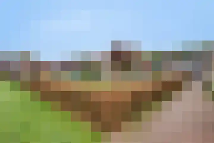 De Veste 22 Apeldoorn thumbnail 40