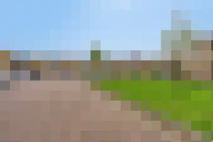 De Veste 22 Apeldoorn thumbnail 41