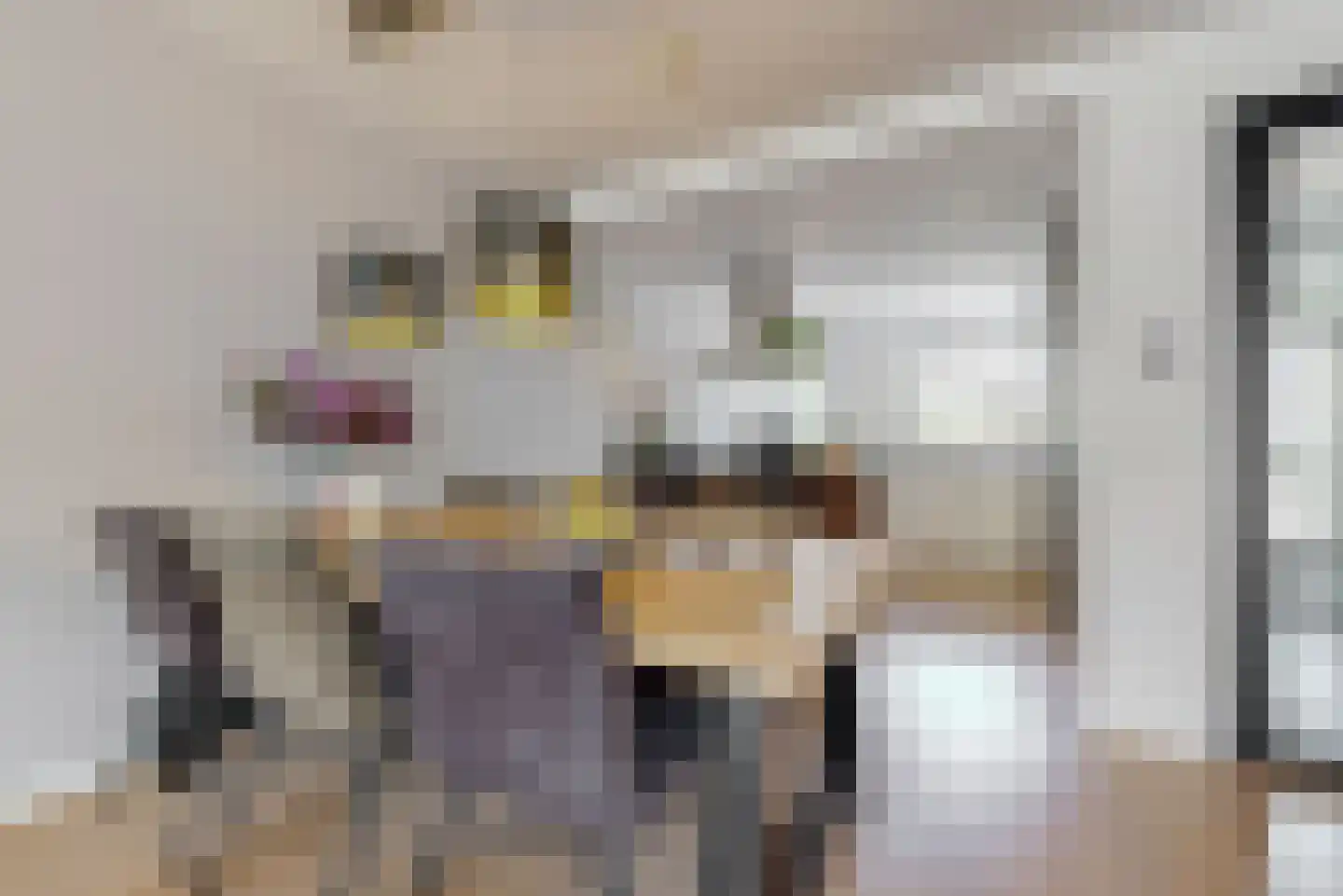 de Veste 24 Woerden thumbnail 11