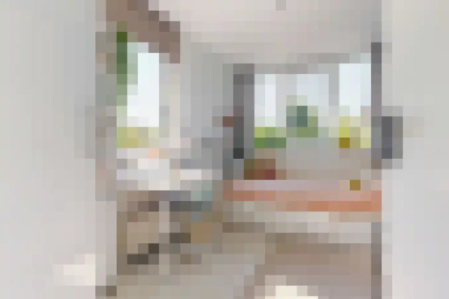 de Veste 24 Woerden thumbnail 17