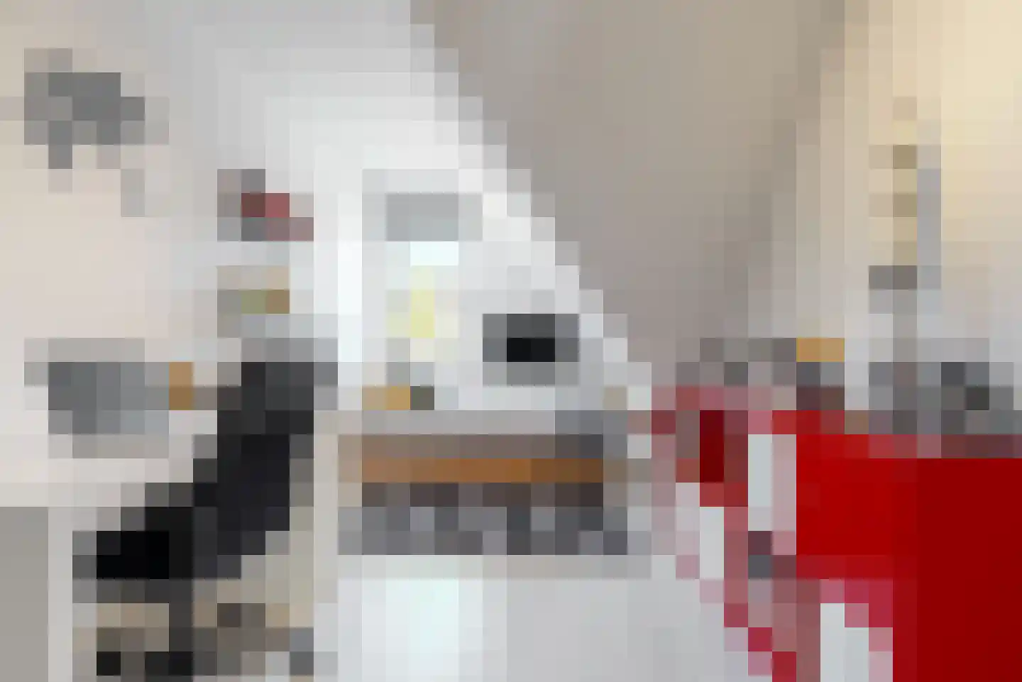 de Veste 24 Woerden thumbnail 19