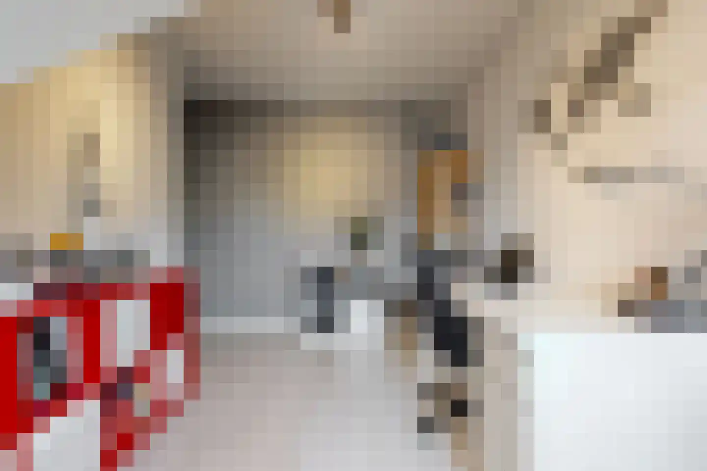 de Veste 24 Woerden thumbnail 20