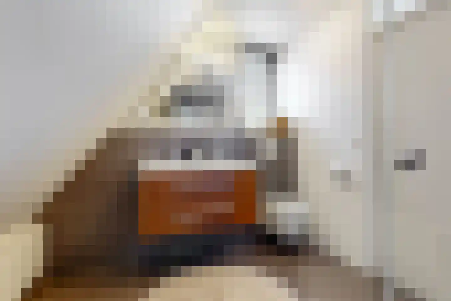 de Veste 24 Woerden thumbnail 23