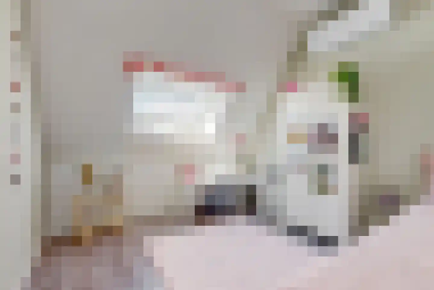 de Veste 24 Woerden thumbnail 26