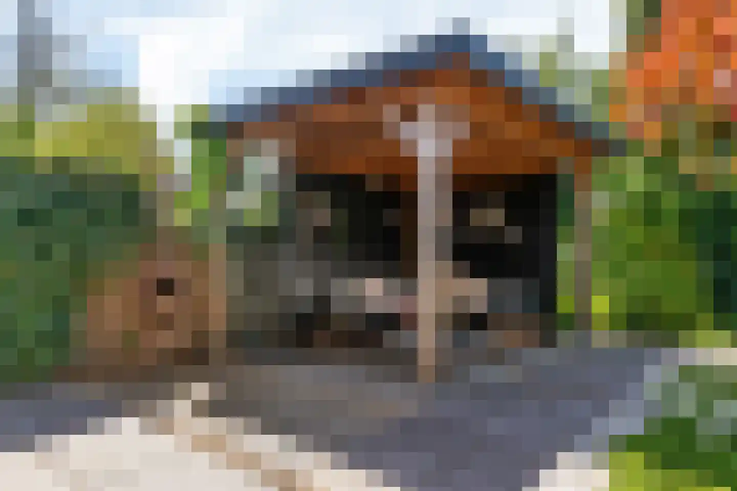 de Veste 24 Woerden thumbnail 35