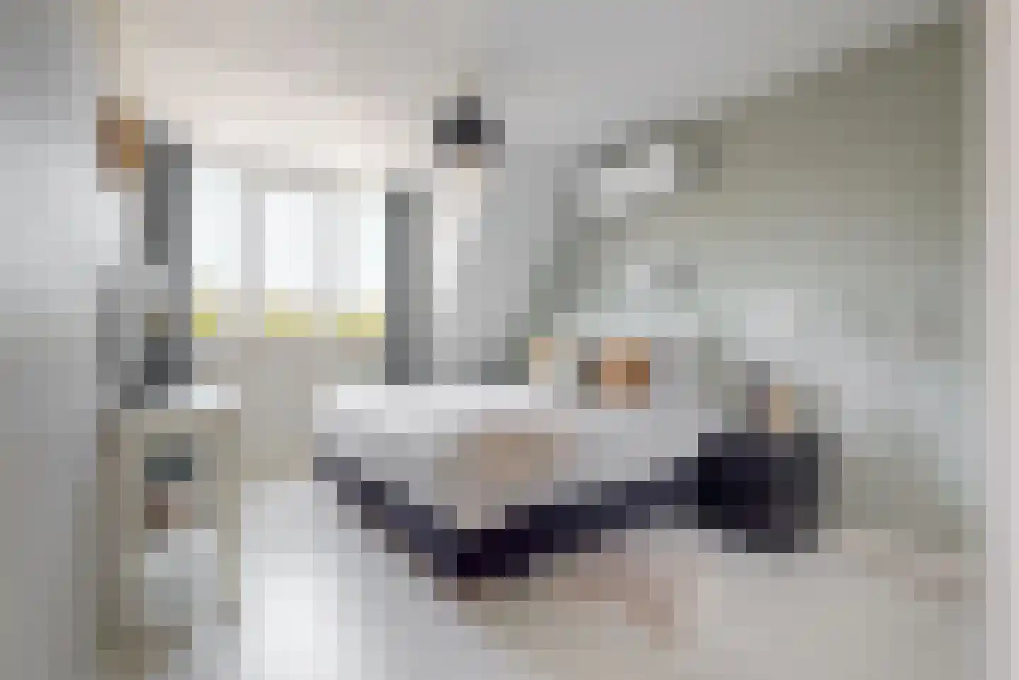 de Veste 24 Woerden thumbnail 4