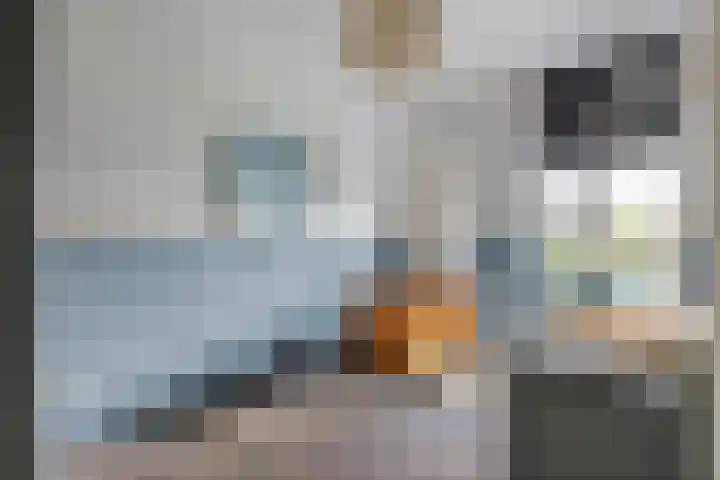De Vesting 14 Meteren thumbnail 17