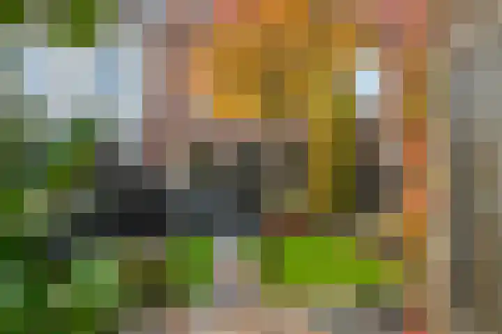 De Vesting 14 Meteren thumbnail 34