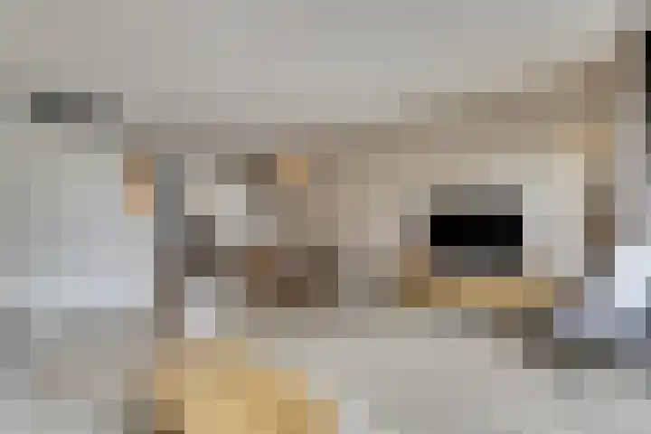 De Vesting 2 a Meteren thumbnail 10