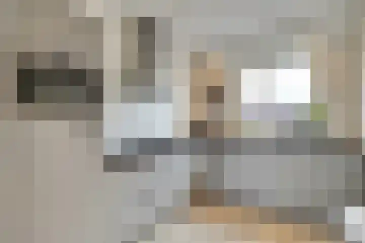 De Vesting 2 a Meteren thumbnail 14